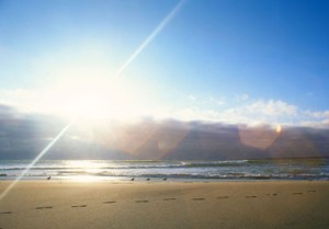 Birds and bright sun on beach